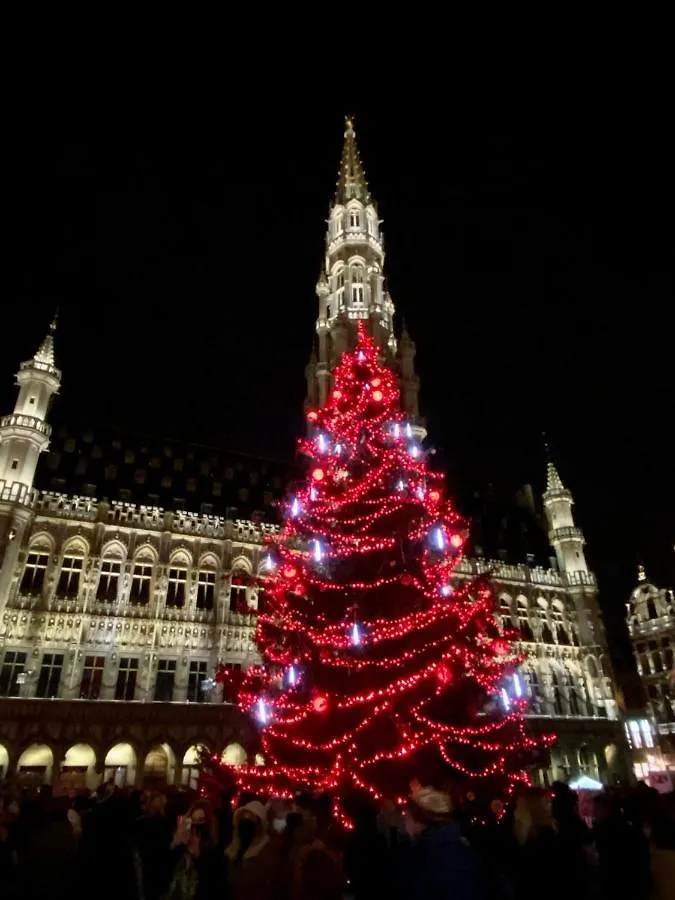 Cinquantenaire Appartement Bruxelles Belgique