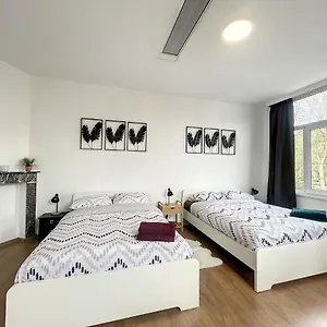  Appartement Hypercentre